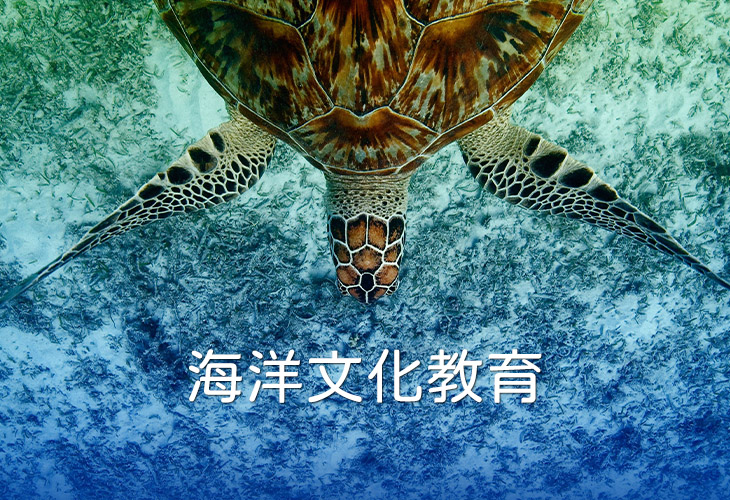 海洋文化教育